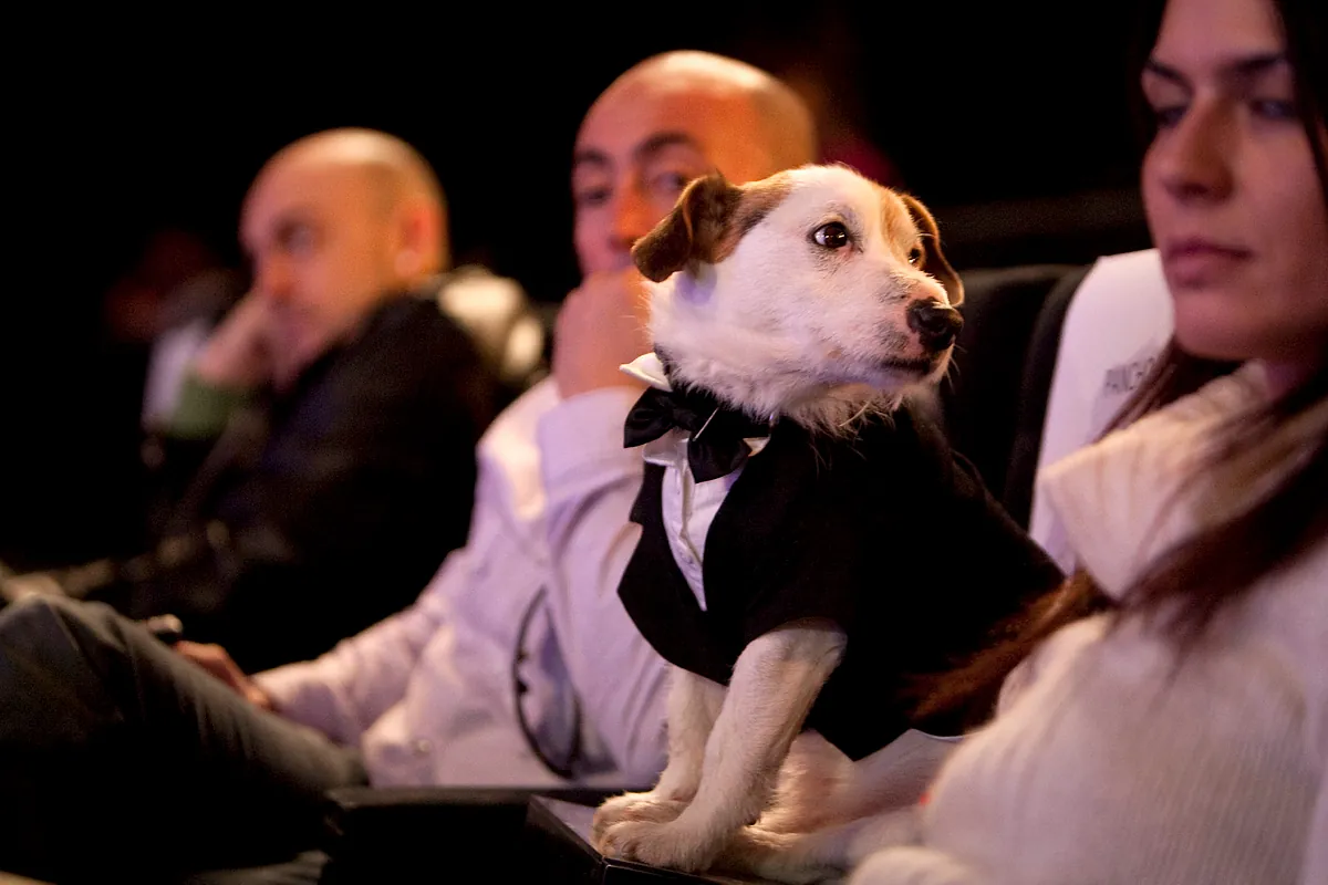 Goya - Les Meilleures Anécdotes De L'Histoire Des Goya : Du Rap De Resines À L'Année Où Le Chien Pancho Figurait Parmi Les Invités