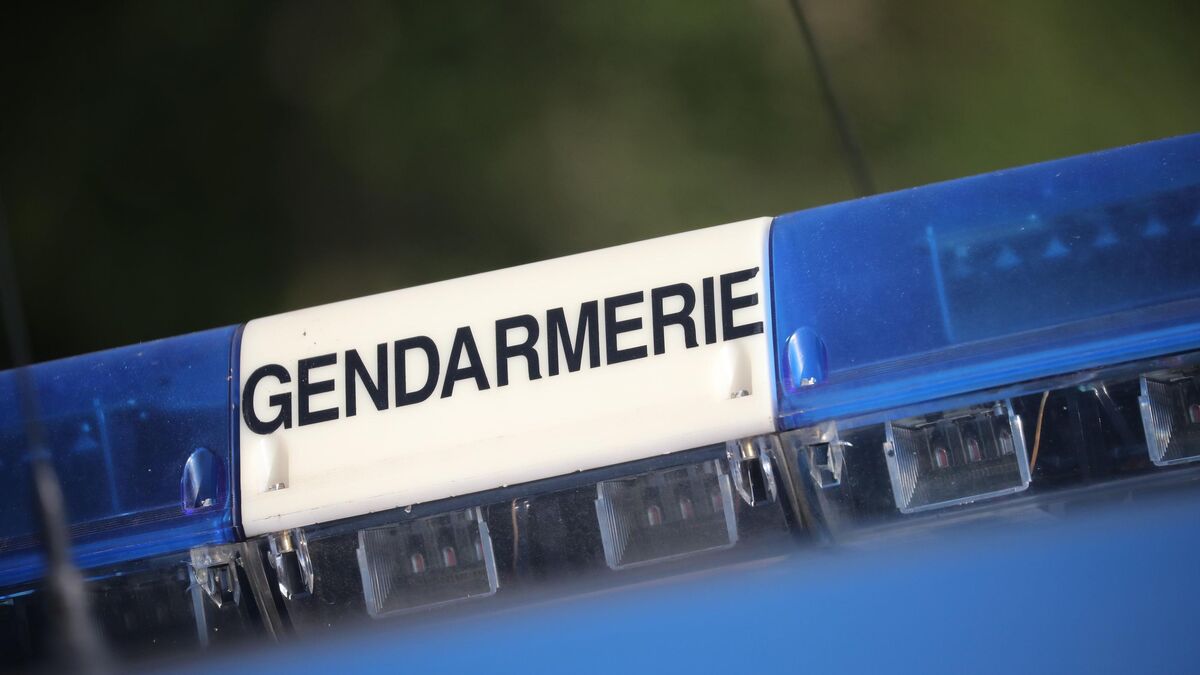 Nourrisson - Nourrisson tué : sa mère mineure interpellée dans le Rhône