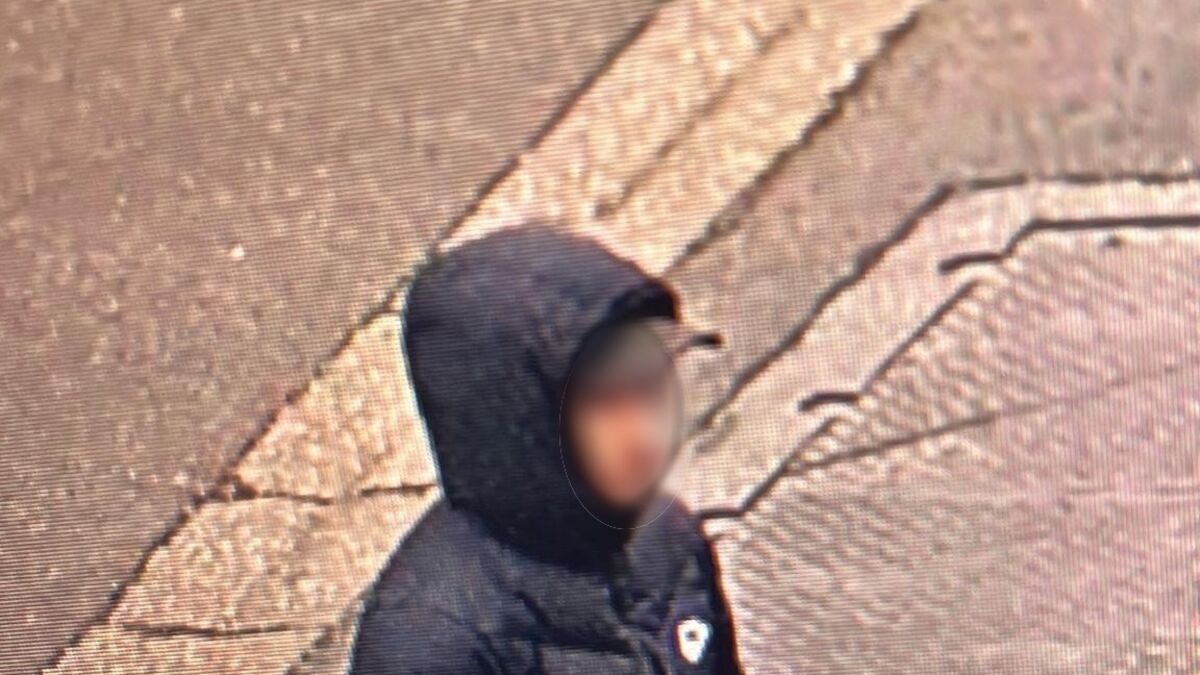 suspect - Meurtre de Louise : Le suspect avait abordé une autre collégienne dans le même secteur le 4 février