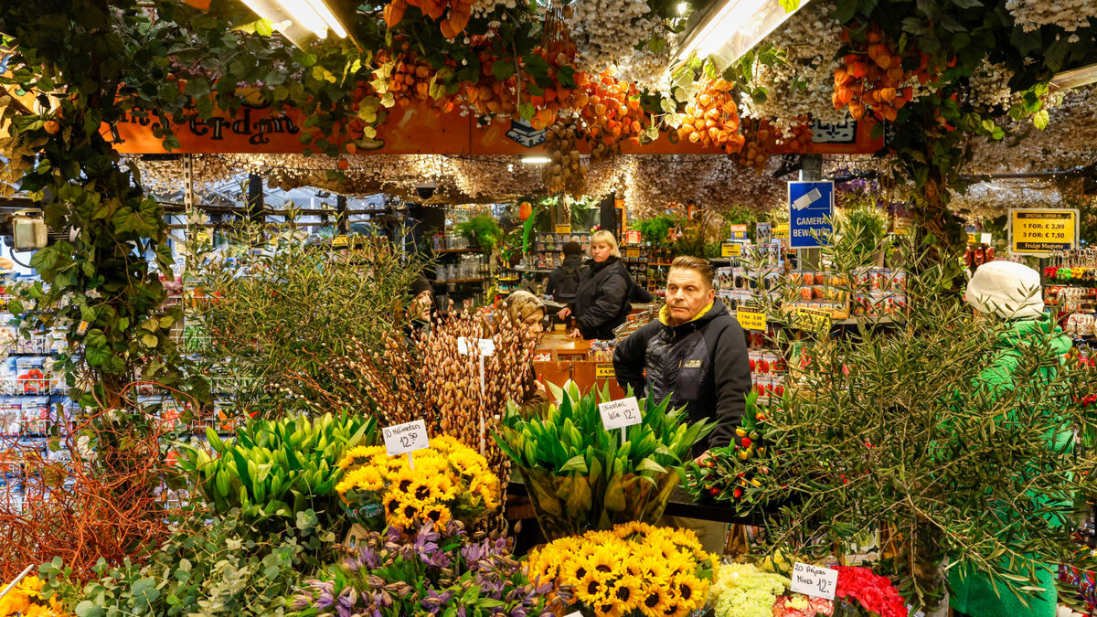 Pesticides - « Comme On Ne Mange Pas Les Fleurs, Ce N’est Pas Contrôlé » : Les Pesticides, un Danger Mortel pour les Fleuristes ?
