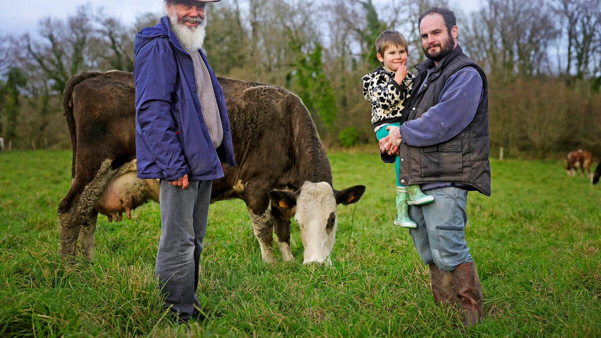 modèle - À Rostrenen, en Bretagne, le modèle agricole qui intrigue et inspire : « Des jeunes s’installent et s’entraident »