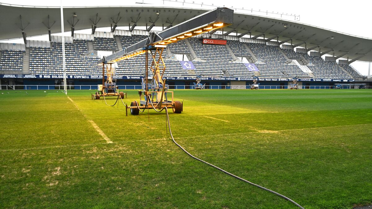 Montpellier - Rugby à Montpellier : La Tension Monte Entre La Métropole Et Le Propriétaire Du MHR, Mohed Altrad