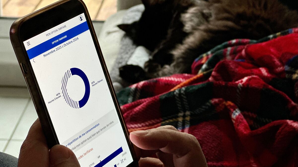 Prix - Prix de l’électricité : Ce qui va changer pour les consommateurs ayant choisi le tarif heures pleines/heures creuses