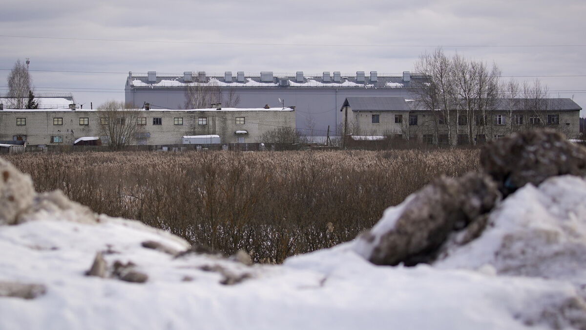 prison - Un Russe condamné à 16 ans de prison pour avoir fourni des informations militaires à l'Ukraine
