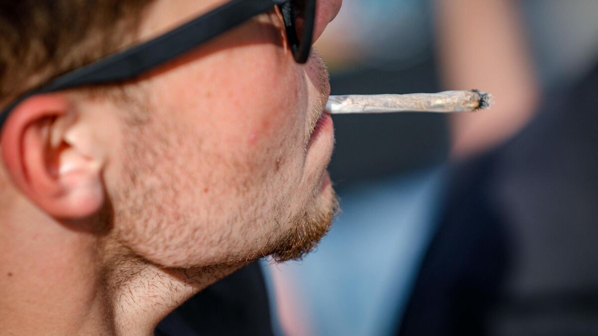 Cannabis - Bruno Retailleau Estime Que La Légalisation Du Cannabis « Ne Fonctionne Pas »