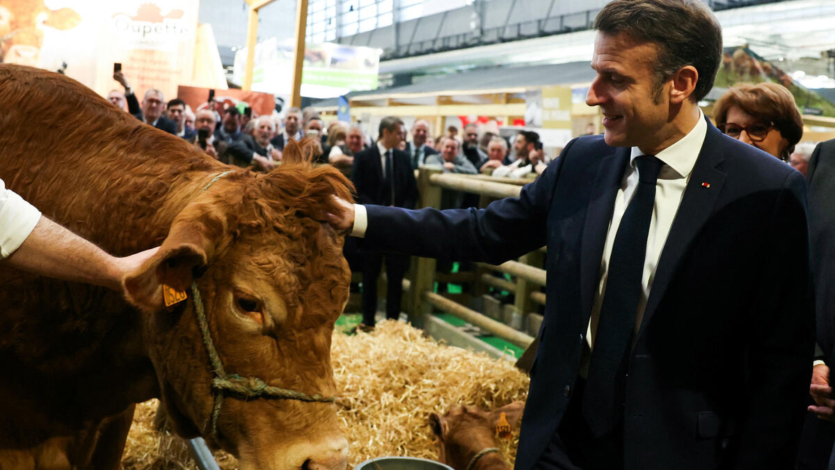 Agriculteurs - Macron Prépare Son Retour Vers Les Agriculteurs : « Rien Ne Nous Indique Que L’alimentation Ne Pourrait Pas Devenir Une Arme »