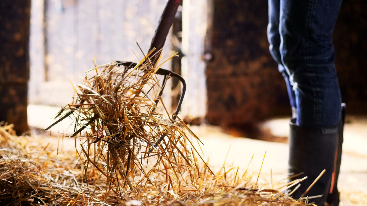 Agriculteur - Rémunération et pénibilité : Qui souhaite encore devenir agriculteur ?