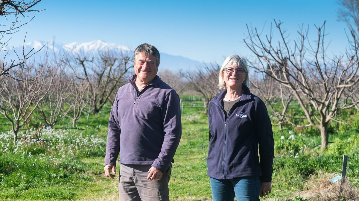 Producteur - Sylvain, Designer Industriel Devenu Producteur D'abricots : « Il Faut Tout Apprendre »