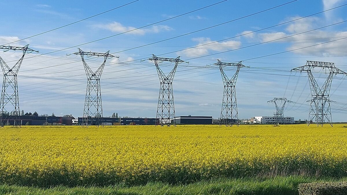 plan - Réseau électrique : Un plan de 100 milliards d'euros sans conséquences « à court terme » sur les tarifs