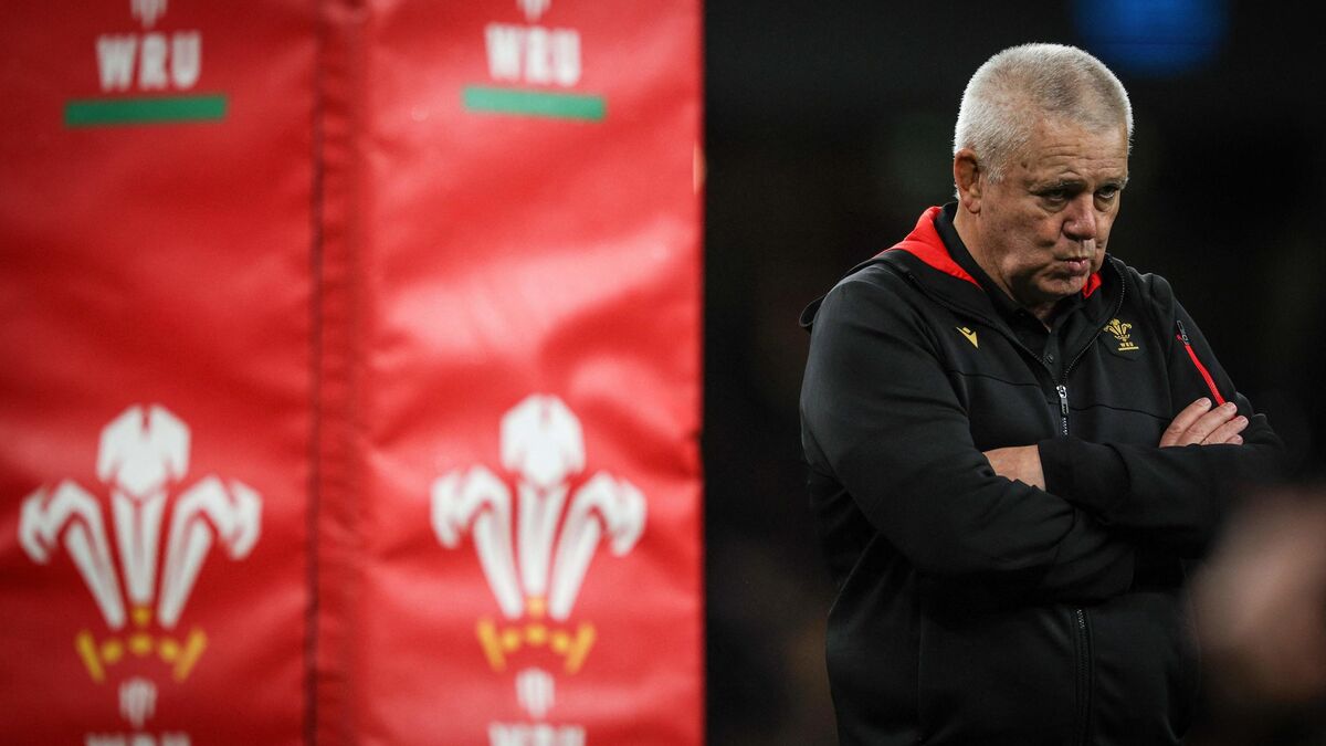 Galles - Rugby : Le Pays de Galles met fin à sa collaboration avec le sélectionneur Warren Gatland