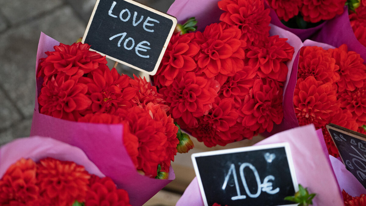 fleurs - Saint-Valentin : Des bouquets de fleurs contaminés par des pesticides, alerte UFC Que Choisir
