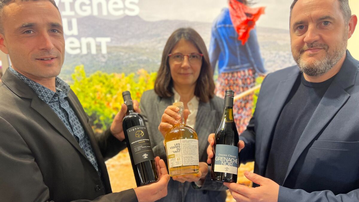 Vignerons - Moins Rustiques, Plus Complexes : Pourquoi Les Vignerons Catalans Réinventent Leur Image ?