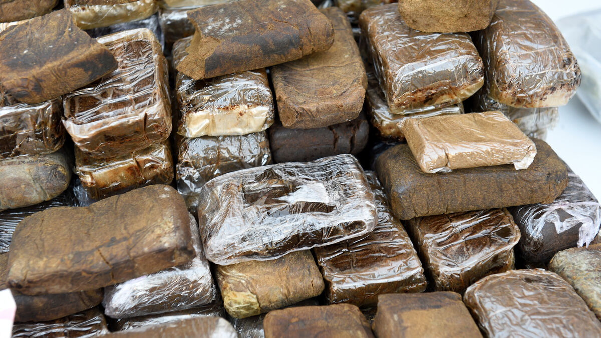 cannabis - Yvelines : Cinq hommes et une femme interpellés après un Go-fast avec 550 kg de cannabis