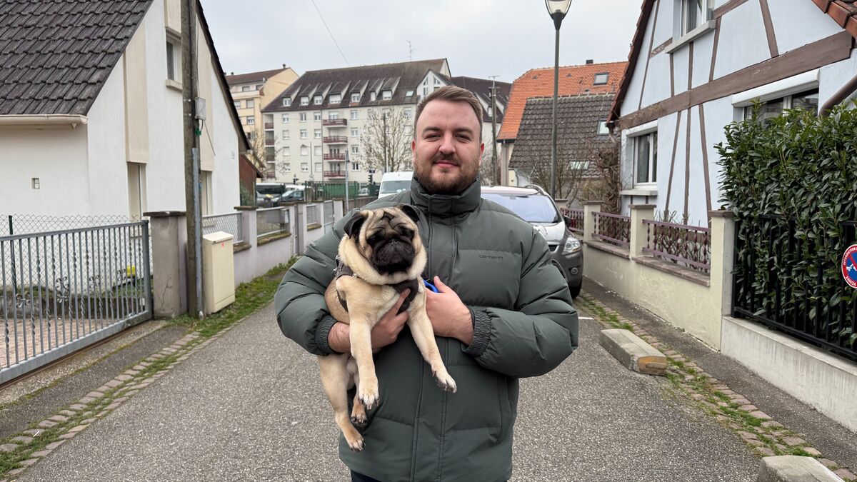 Engagement - Strasbourg Renforce Son Engagement En Faveur Des Animaux De Compagnie