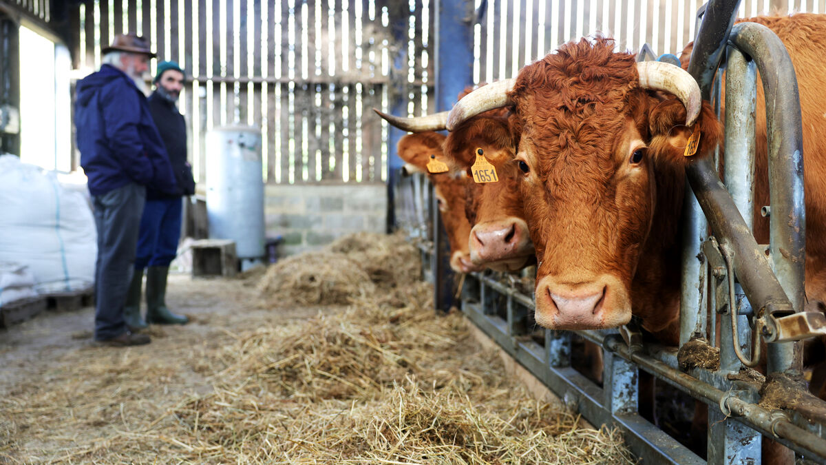 Taux - « Le Taux de Remplacement des Agriculteurs : Pourquoi le Renouvellement des Générations est-il Difficile ? »