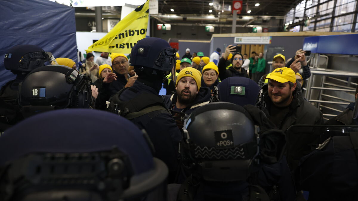 Salon - Salon de l'agriculture à Paris : Un dispositif de sécurité renforcé au parc des expositions et dans le quartier