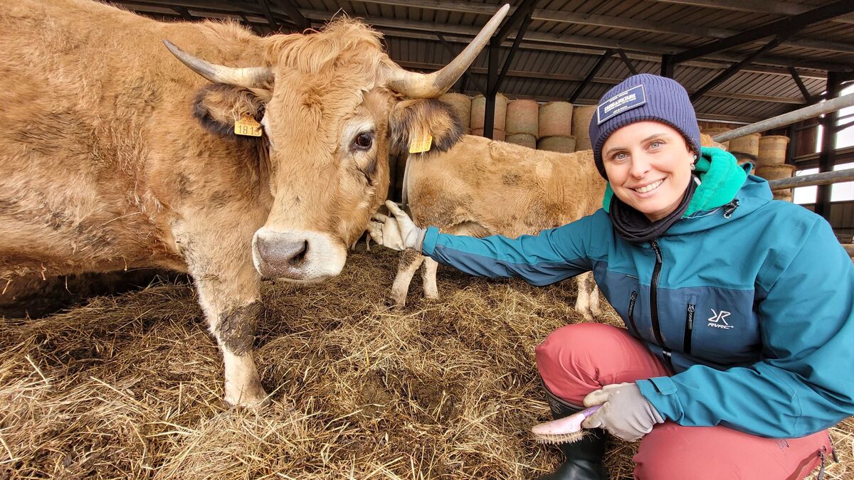 Salon - Salon de l'agriculture : Comment Pauline a transformé des plateaux TV parisiens en pâturages du Cantal ?