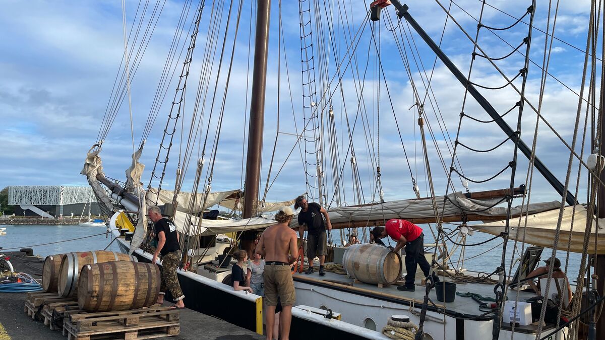 produits - En Charente-Maritime, des produits transportés à la voile sont désormais disponibles en ligne