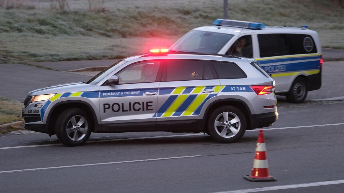 commercial - République Tchèque : Un jeune de 16 ans tue deux femmes dans un centre commercial
