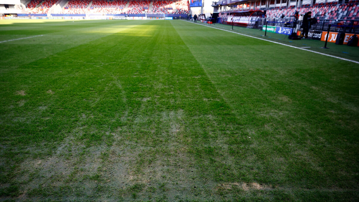 Pelouse - Brest-PSG : La Pelouse Endommagée De Roudourou Va-t-elle Gâcher Le Spectacle ?