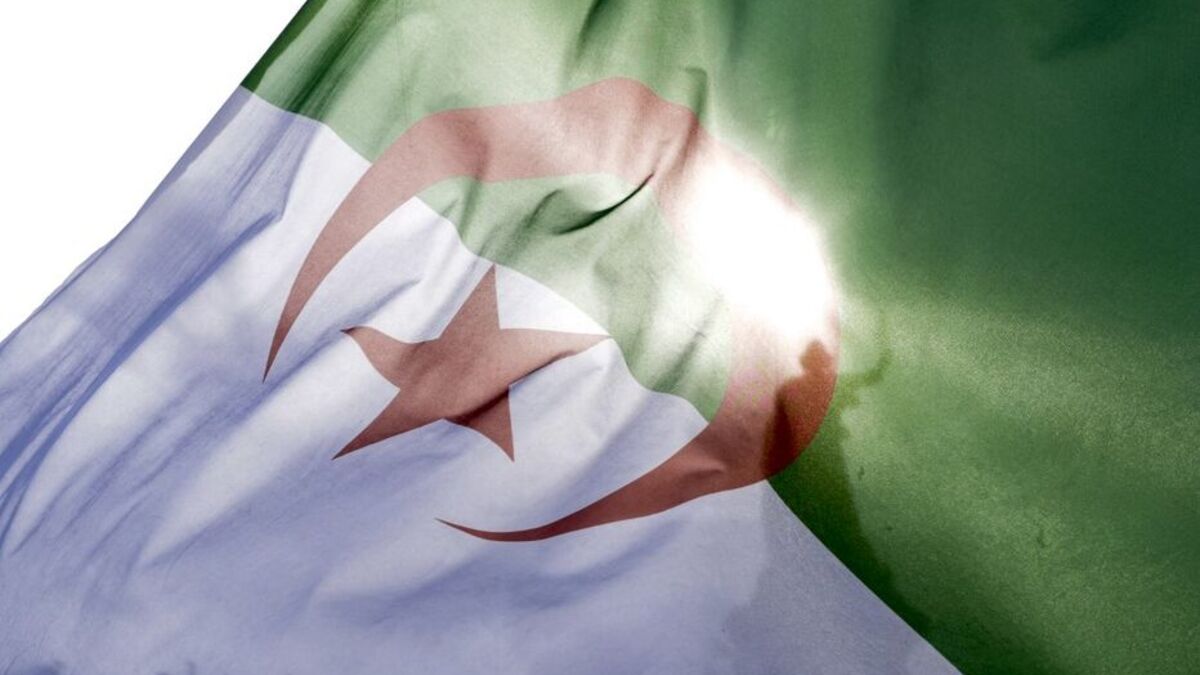 OQTF - Un Algérien, Visé Par Une OQTF, Refoulé à Oran Malgré Sa Carte d'Identité Valide