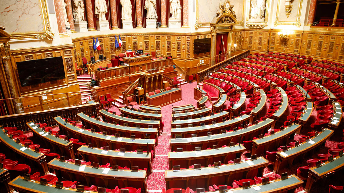 Mariage - Le Sénat Vote Pour Interdire Le Mariage Aux Étrangers En Situation Irrégulière