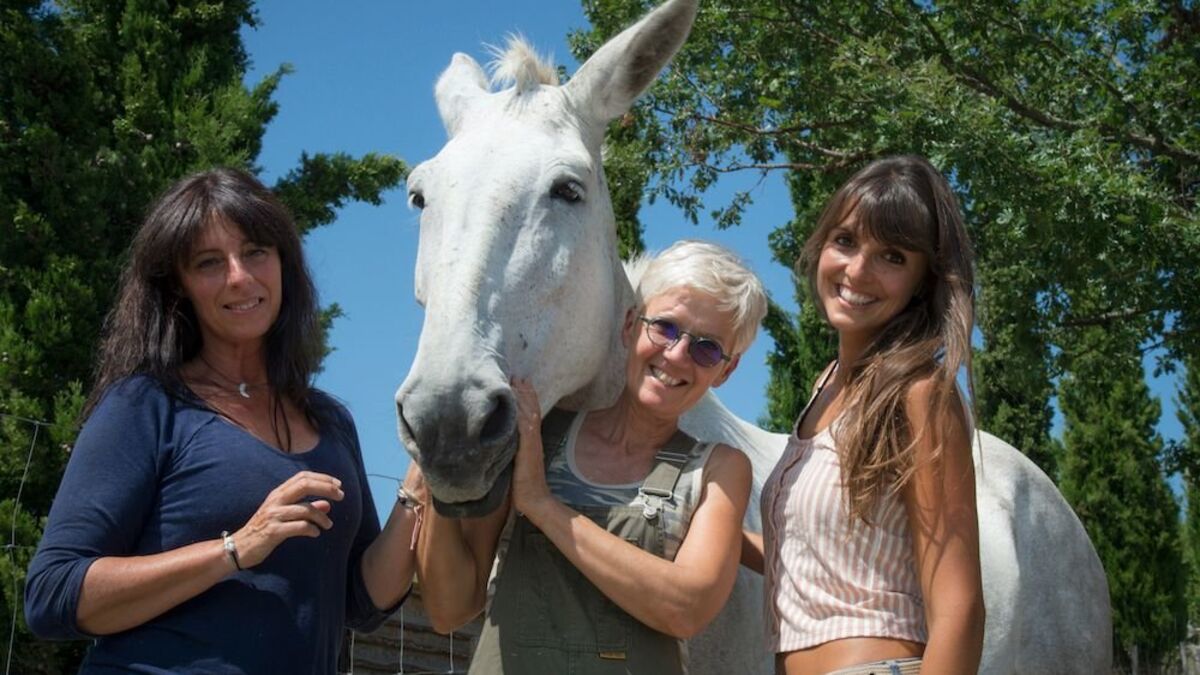élèves - 800 élèves franciliens sensibilisés au bien-être animal grâce à des visites virtuelles d'un refuge du Tarn-et-Garonne