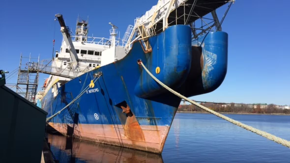 Câble - Câble sous-marin en fibre optique coupé délibérément pour la 2ème fois entre N.-S. et N.-L.