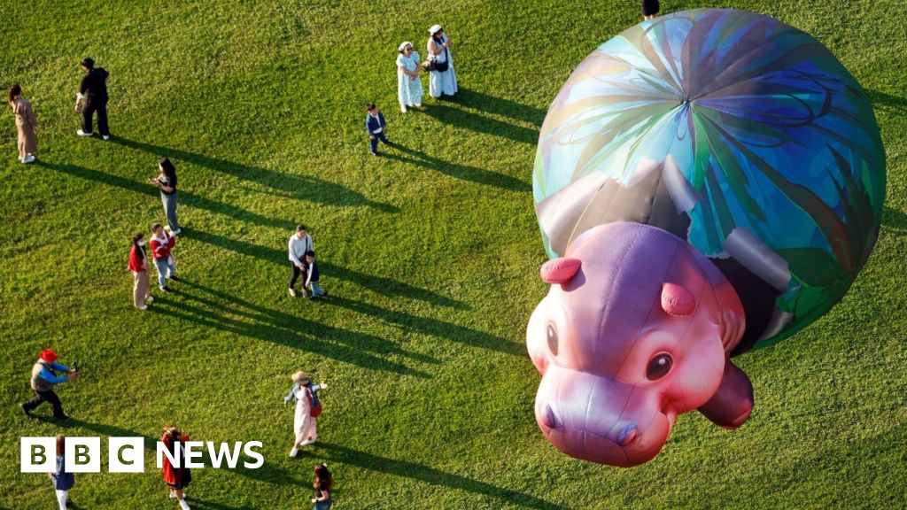 Bouteilles - Bouteilles, Sacs et Un Ballon : Photos de la Semaine