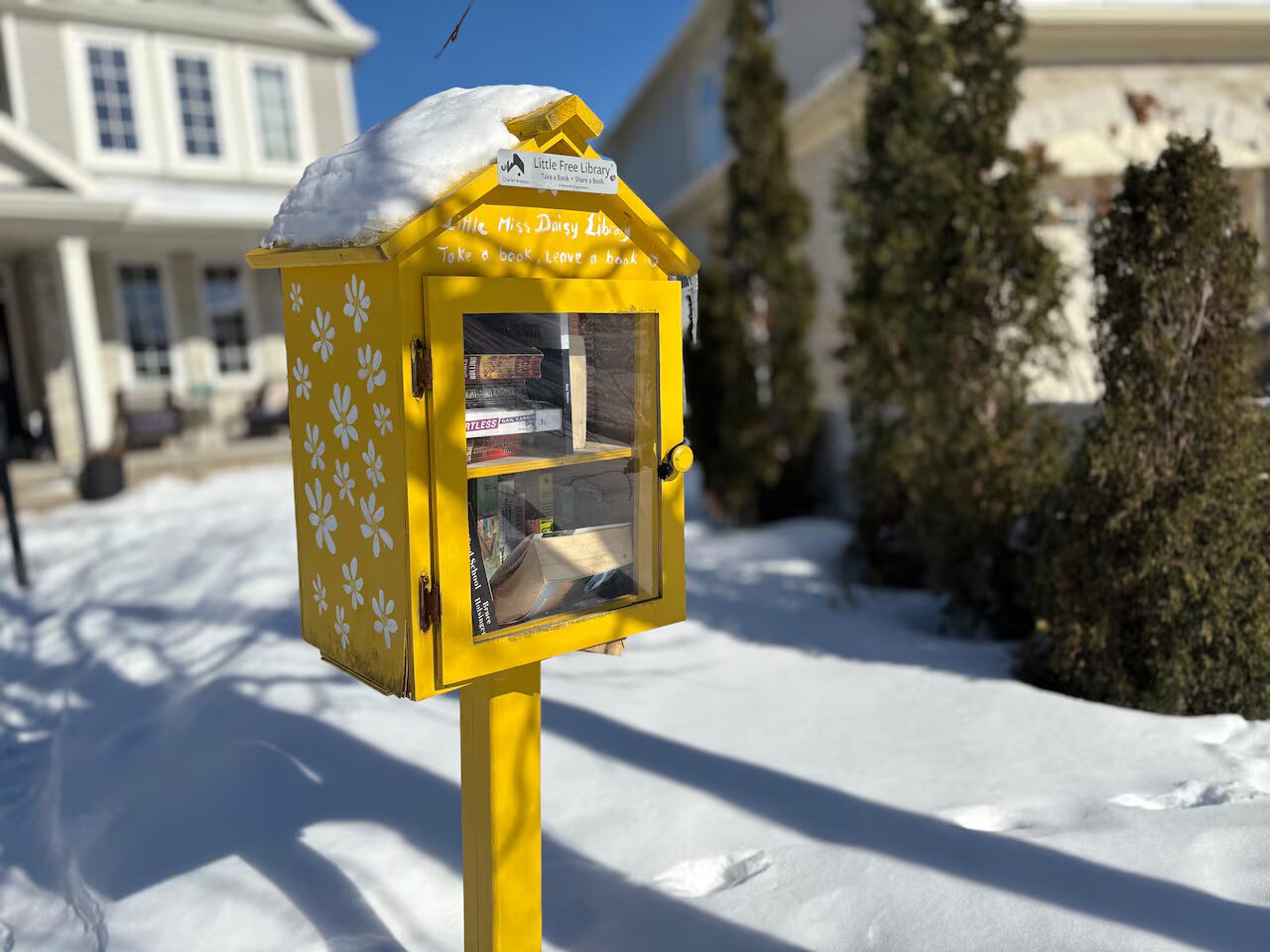 livres - Des livres nationalistes blancs découverts dans des Little Free Libraries à Ottawa