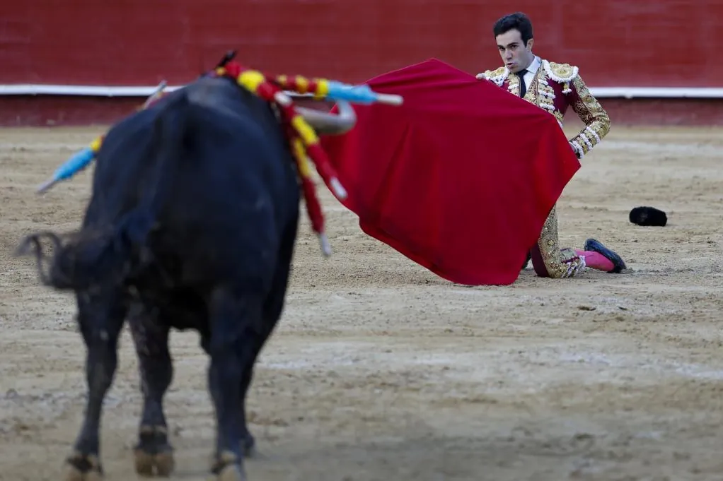 toreau - Tomás Rufo triomphe à Valencia et surpasse Roca Rey grâce à son ambition et son art du toreo