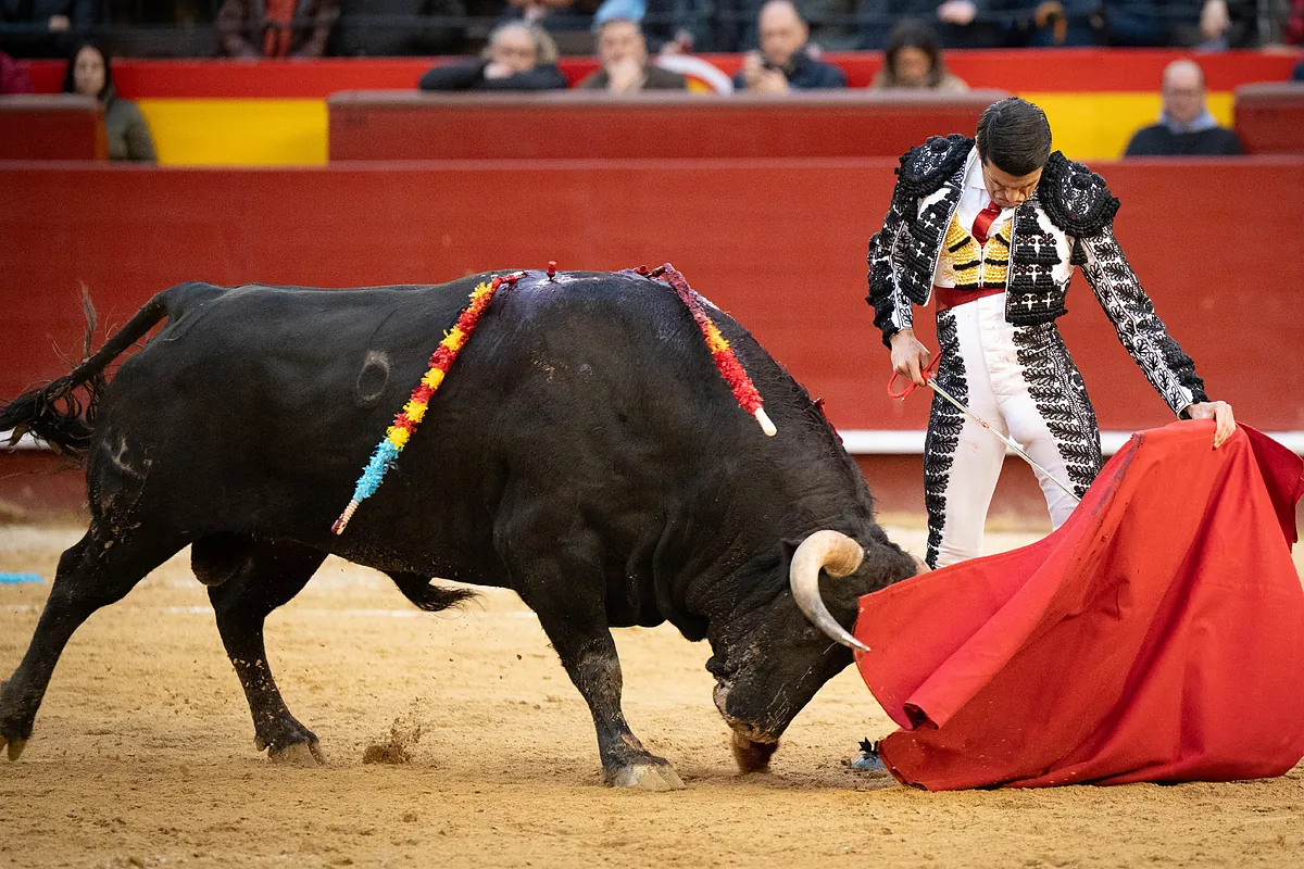 gestion - La gestion des autorités de la Plaza de Valencia exaspère les éleveurs