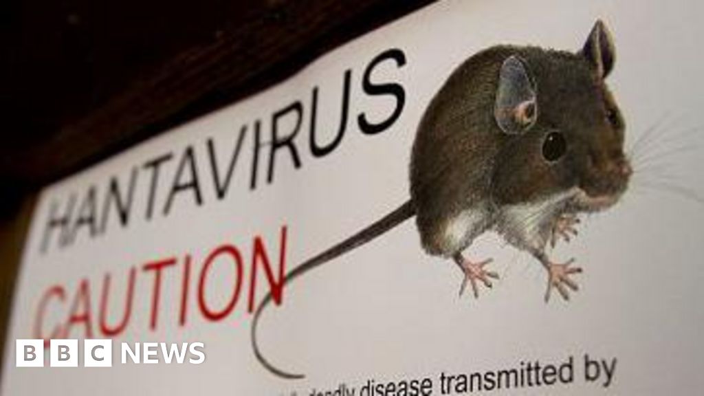 hantavirus - Qu'est-ce que le hantavirus, la maladie qui a tué l'épouse de Gene Hackman ?