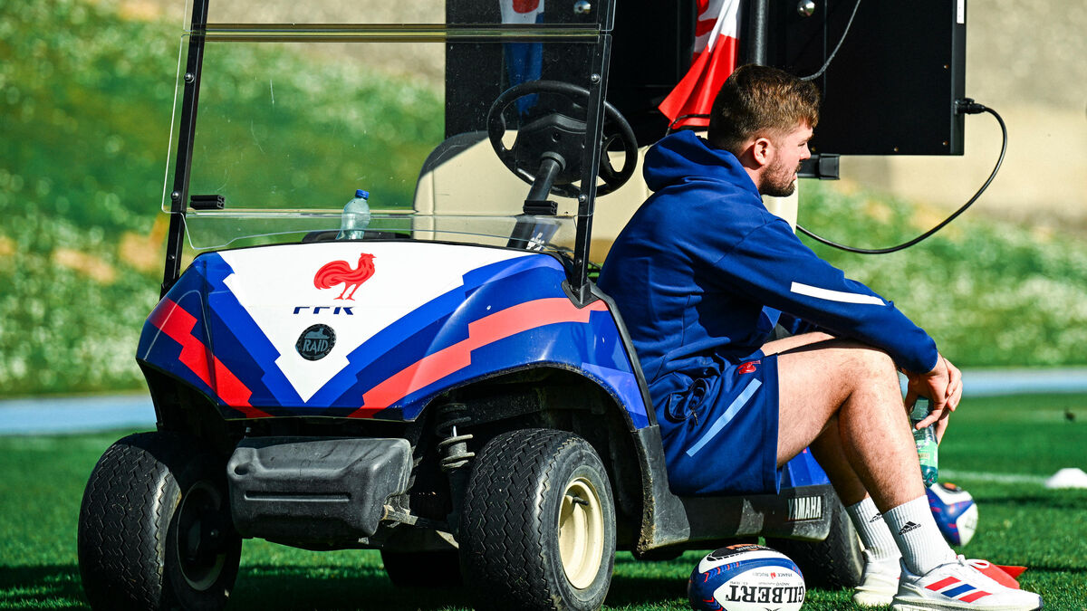 Titulaire - Irlande - France : Grégory Alldritt Toujours Préservé Mais Prévu Comme Titulaire à Dublin
