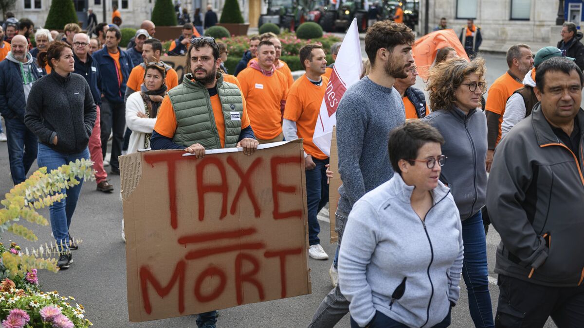 Cognac - Le Sos Du Cognac Face Aux Menaces Des États-Unis Et De La Chine : « Si Rien N’est Fait, Nous Serons Anéantis »