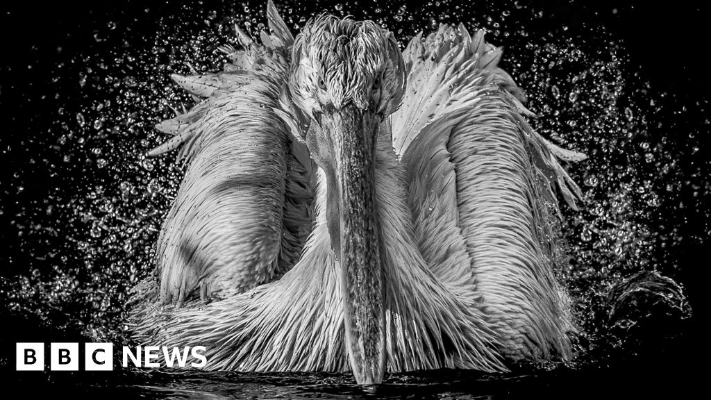 monochrome - Vos photos sur le thème du 'monochrome'