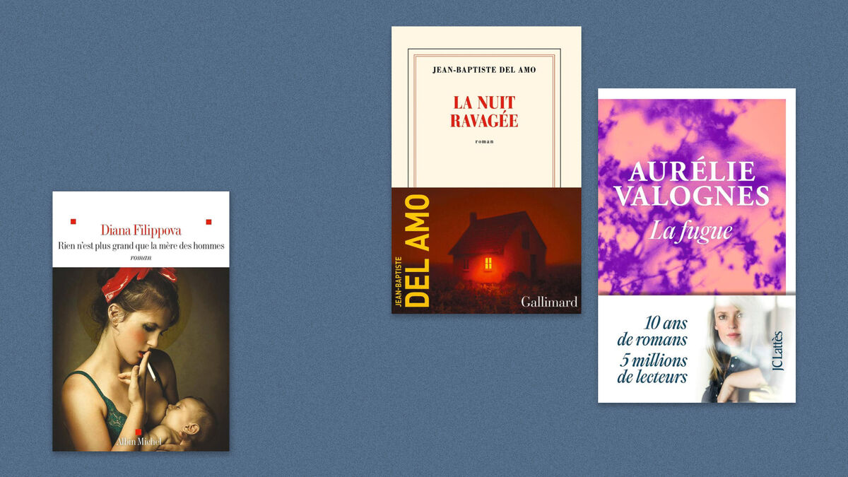 Livres - Diana Filippova, Jean-Baptiste Del Amo, Aurélie Valognes… Découvrez Notre Sélection de Livres de la Semaine