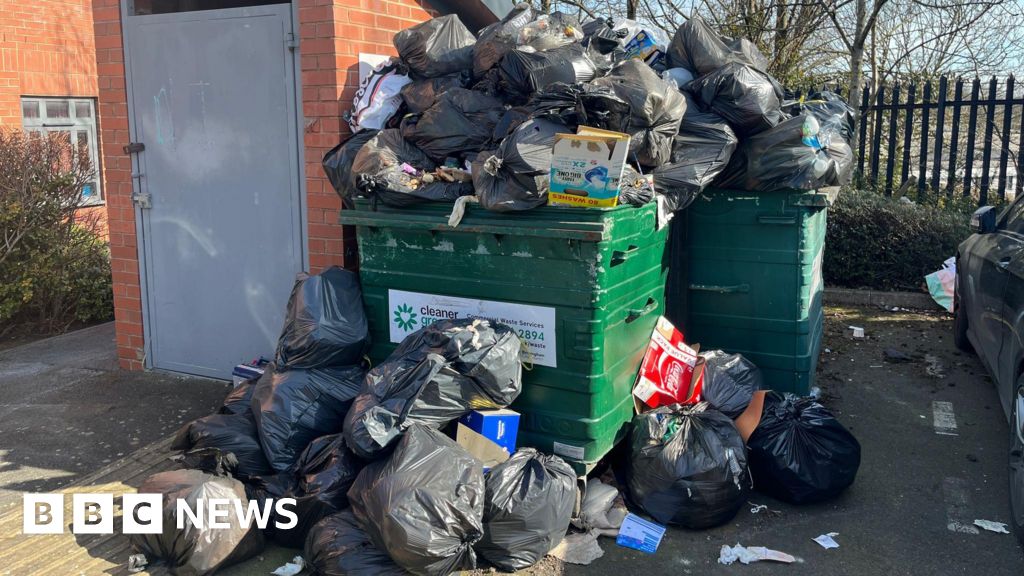 déchets - « Les déchets sont vivants » : les rats se régalent pendant la grève des éboueurs de Birmingham