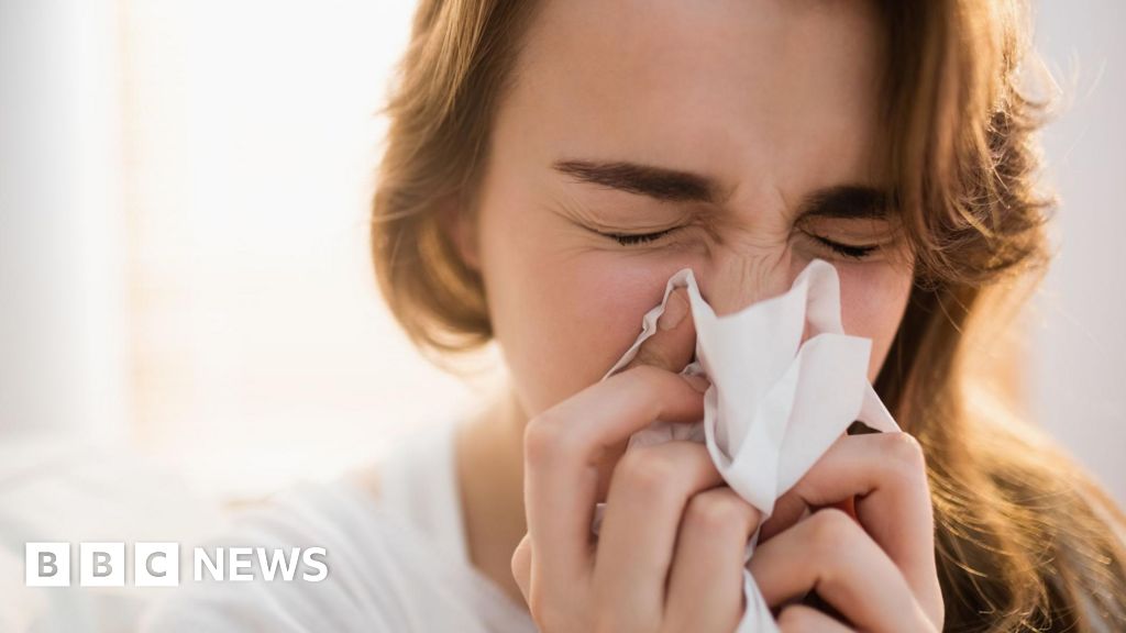 système - Des scientifiques découvrent une nouvelle partie du système immunitaire