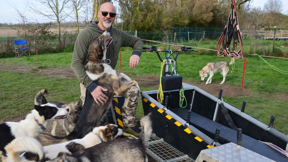 Balades - Charente-Maritime : Ses Balades en Chien de Traîneau à la Campagne Rencontrent un Grand Succès