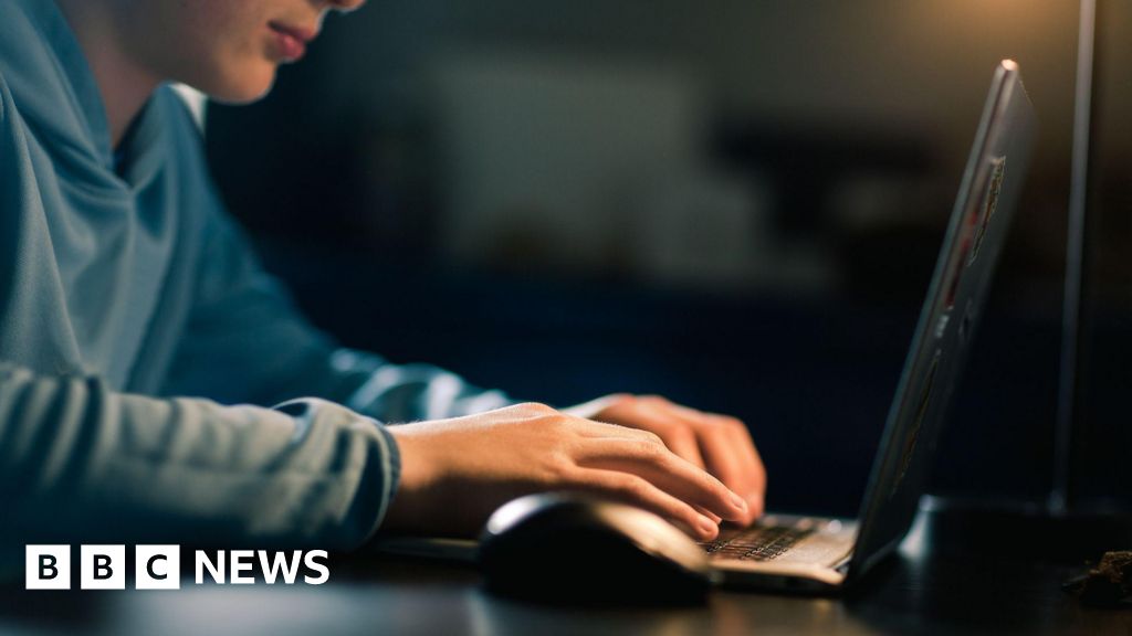 bandes - Des bandes de garçons adolescents 'sadistes' en ligne ciblent des enfants, selon l'agence criminelle