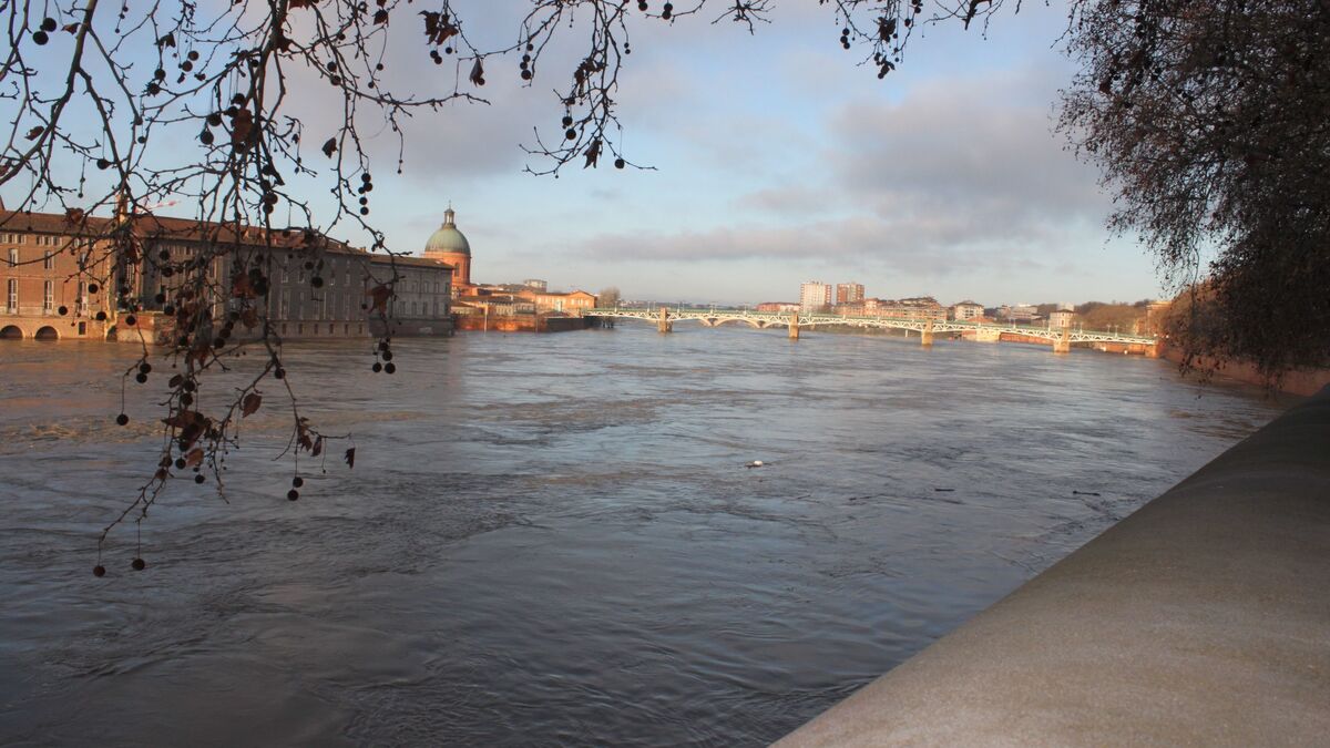 Volontaires - Toulouse Recherche des Volontaires pour se Préparer à Une Nouvelle Crue du Siècle de la Garonne
