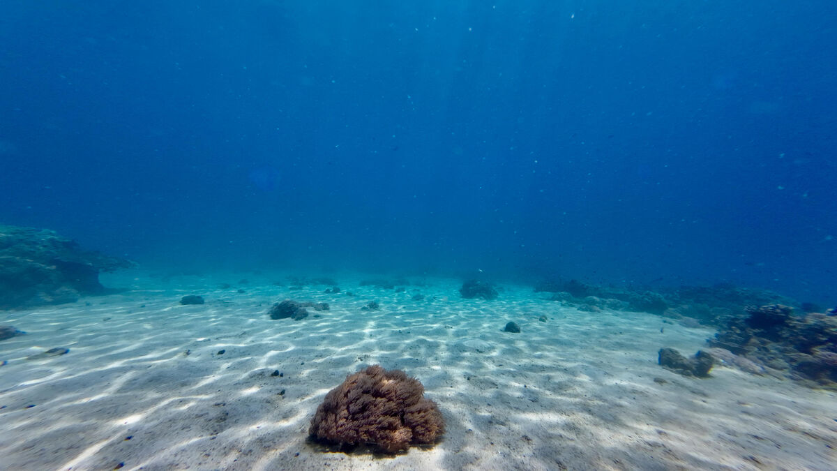 vagues - « Découvrez des variables essentielles comme les courants et les vagues : ils créent un jumeau numérique de l’océan ! »