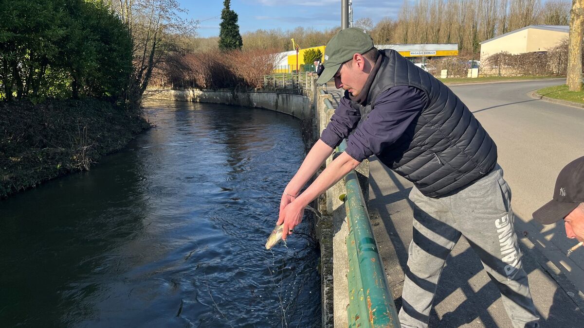 Pollution - « Ça Devrait Frétiller » : Trois Ans Après La « Pollution Du Siècle », Pourquoi Les Poissons Fuient-Ils Toujours Ce Cours D’Eau De L’Oise ?
