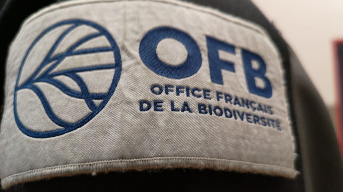 Agriculteurs - Enquête Ouverte Sur Une Vidéo Des Jeunes Agriculteurs Illustrant La Mort D’un Agent De L’Office Français De La Biodiversité
