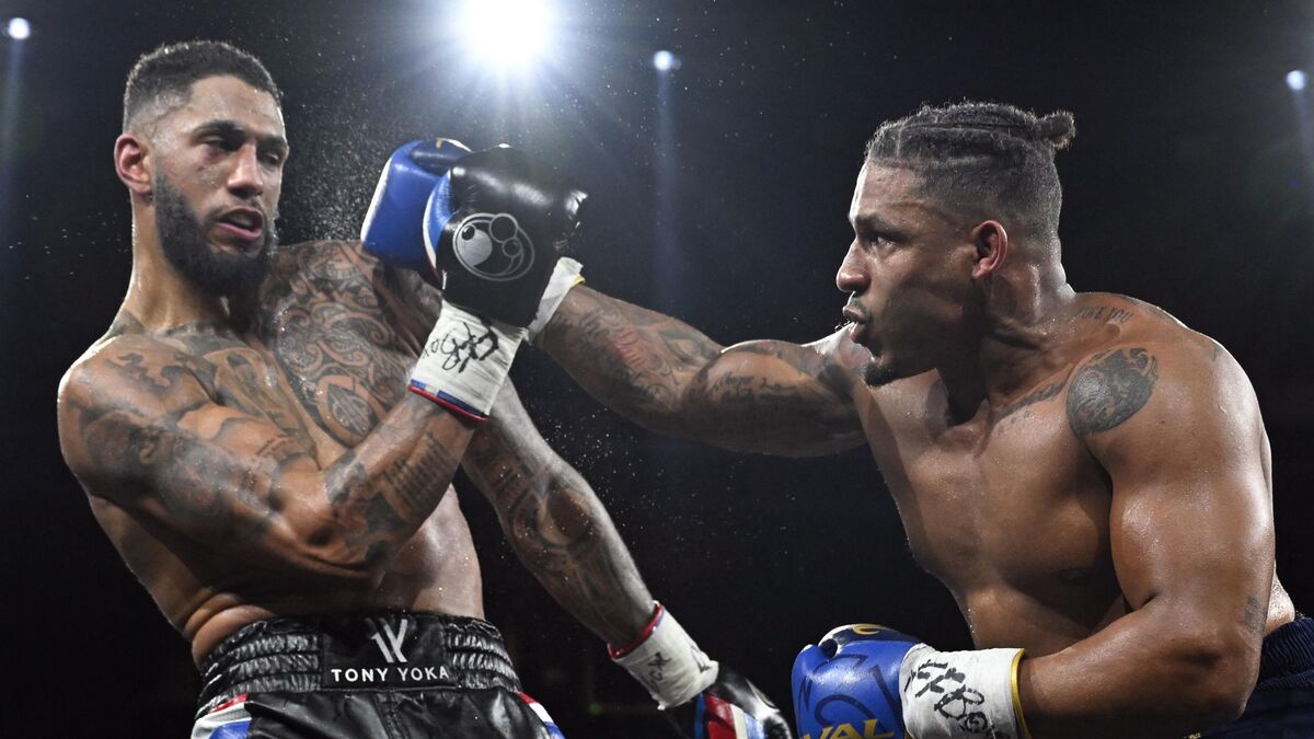 Boxeur - Boxe : Tony Yoka affrontera un boxeur venu du Daguestan le 17 mai