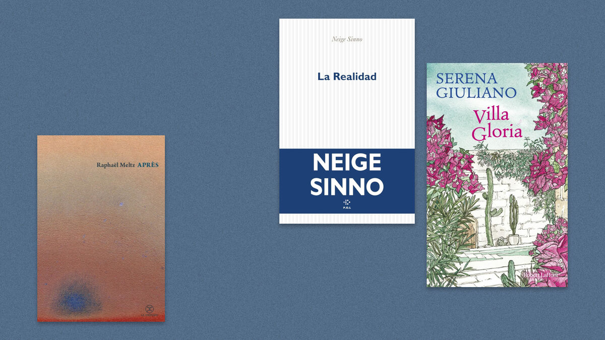 Livres - Raphaël Meltz, Neige Sinno, Serena Giuliano… Découvrez Notre Sélection de Livres de la Semaine