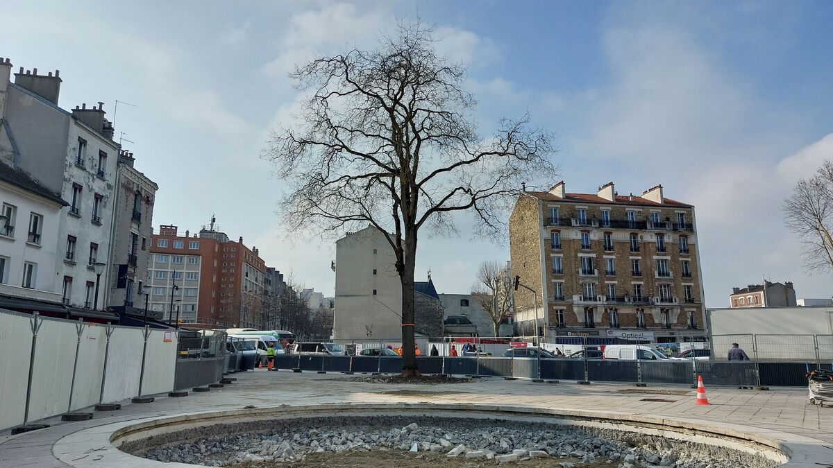 Travaux - Travaux de la Ligne 15 à Aubervilliers : L'arbre à Palabres sera abattu... et remplacé par un autre de même hauteur.