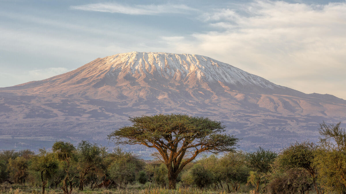 Kilimandjaro - Réchauffement climatique : Les forêts de nuages peuvent-elles sauver les neiges du Kilimandjaro ?