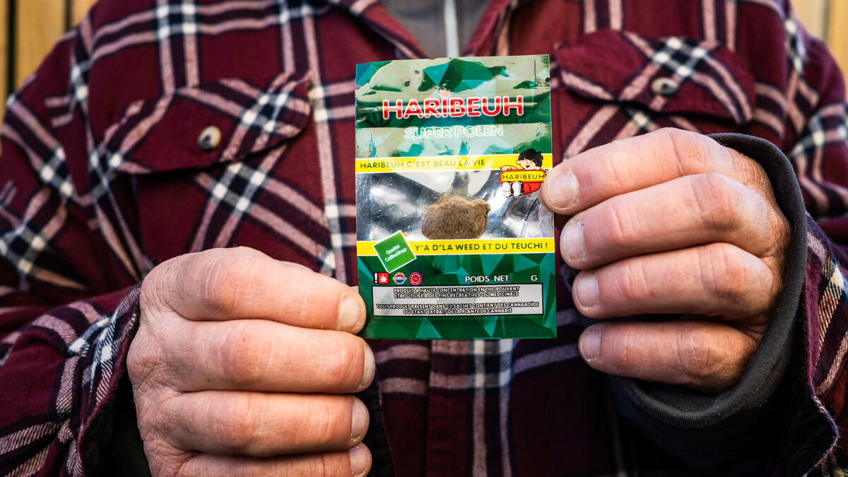 marketing - « Haribeuh », « Chitapic »… Comment le boss de l’agence marketing du narcotrafic a eu l'idée « en regardant un reportage » ?